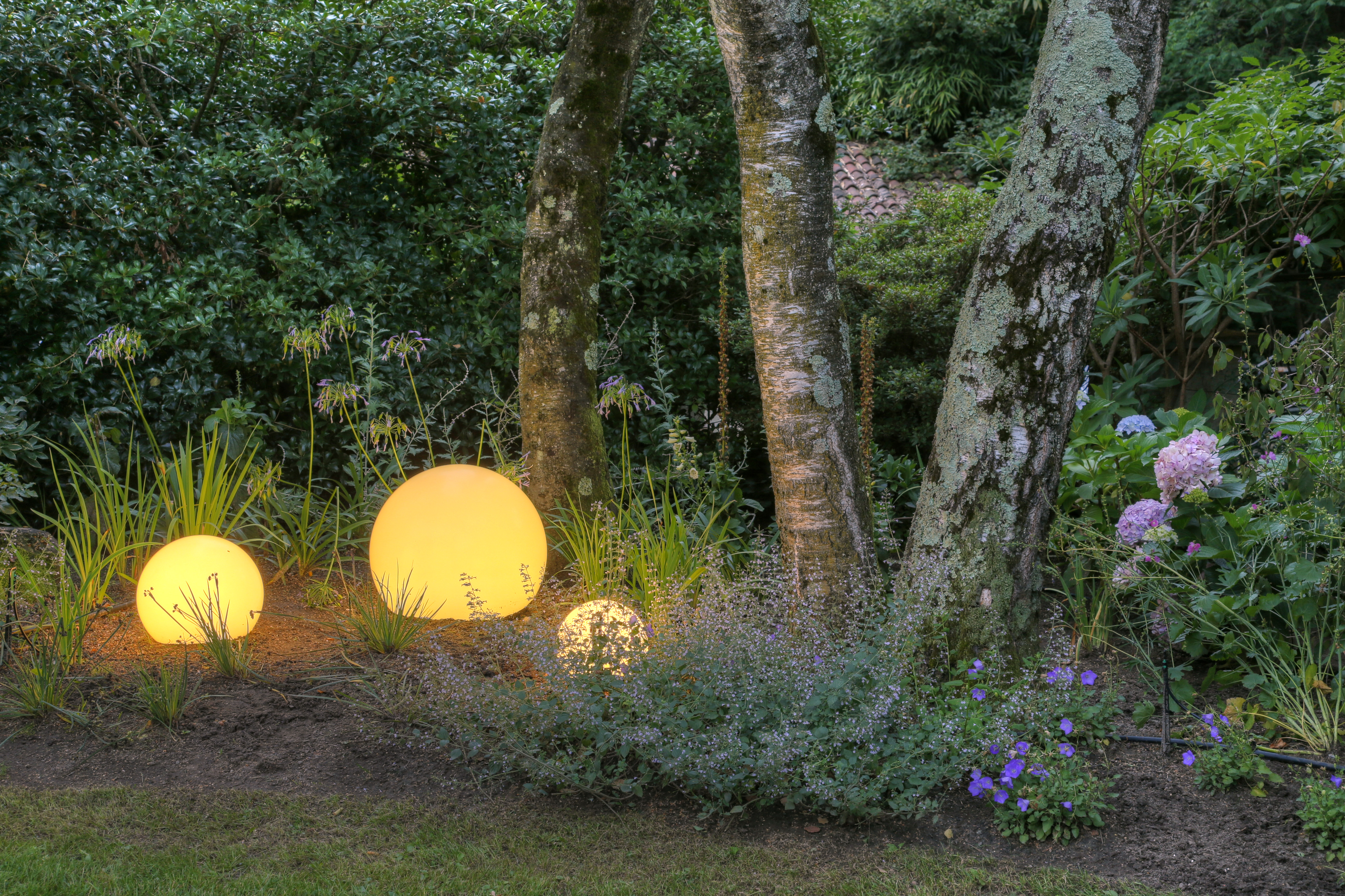 AQVA Irrigation & Outdoor Lighting Solutions - AQVA Sagl – click to enlarge the panorama picture