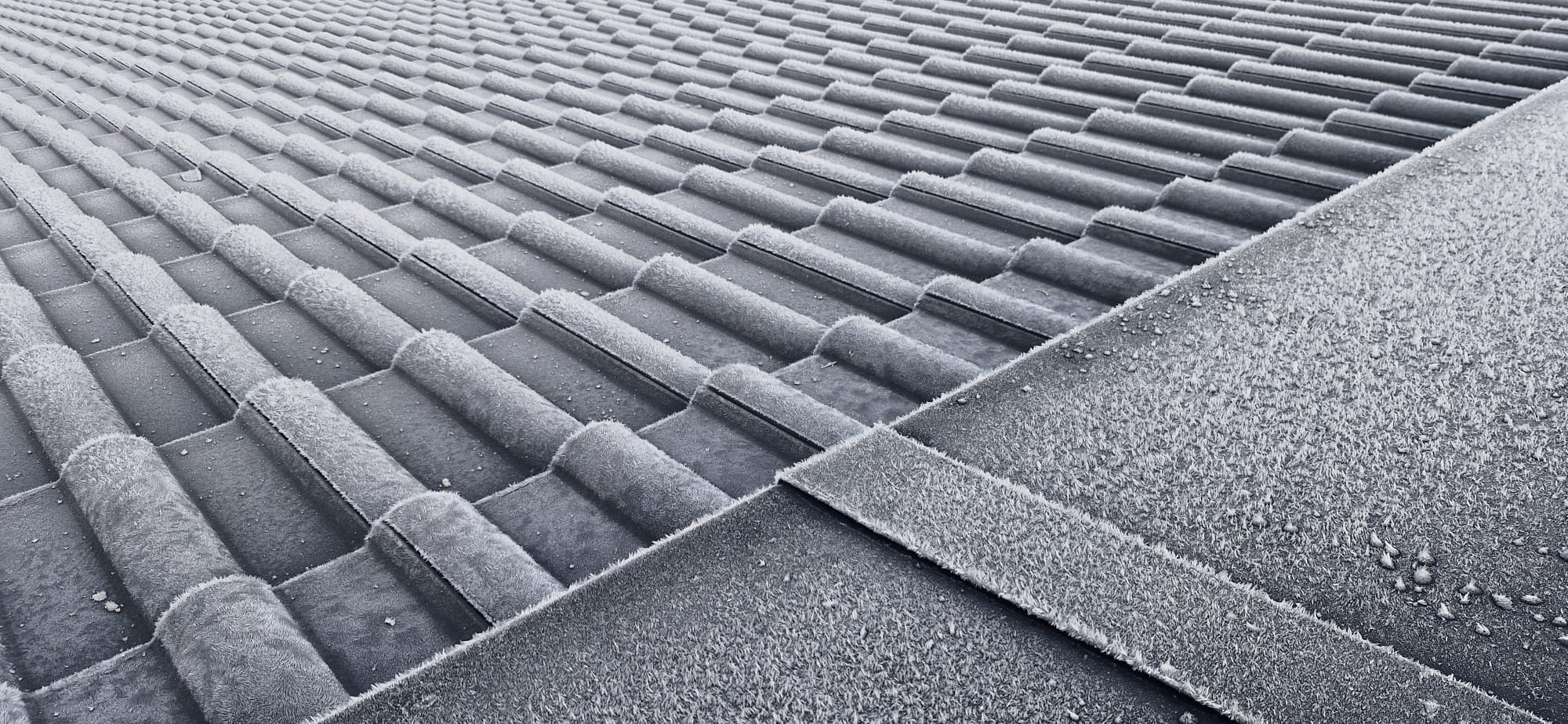 Zbinden & Joye SA successeur Pierre Streit