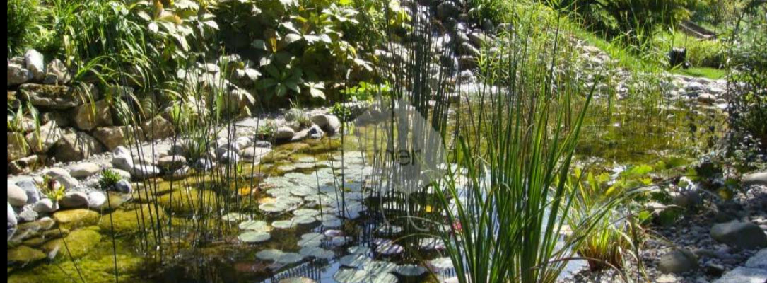 Baumann Gartenpflege GmbH