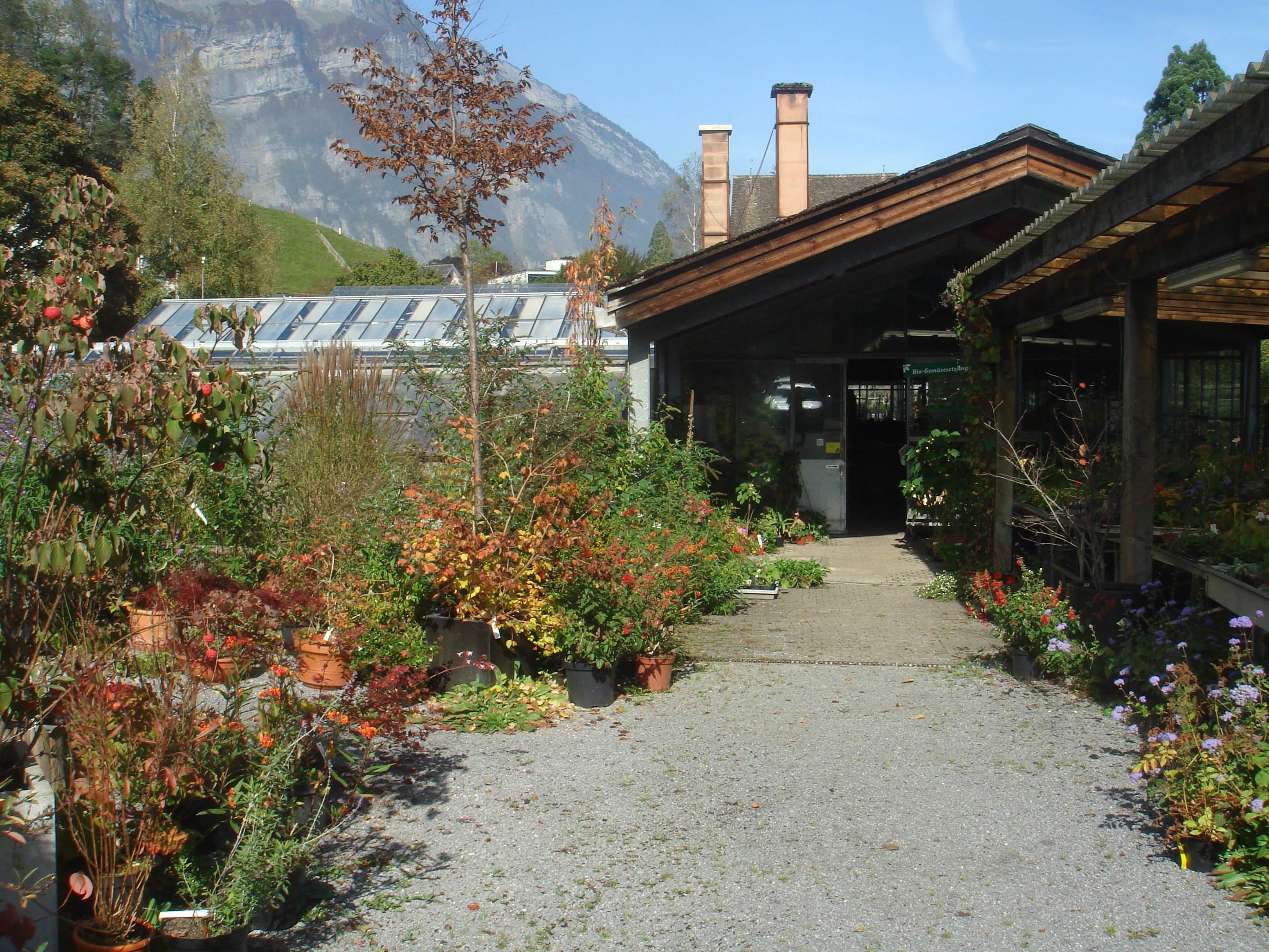 Gärtnerei Vrenelis Gärtli GmbH