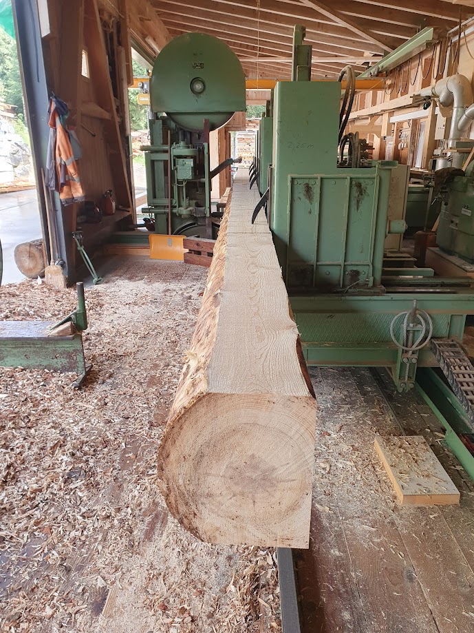 Timber Trend GmbH – click to enlarge the panorama picture