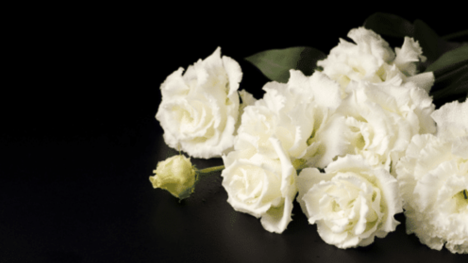 Mischler Bestattungen GmbH