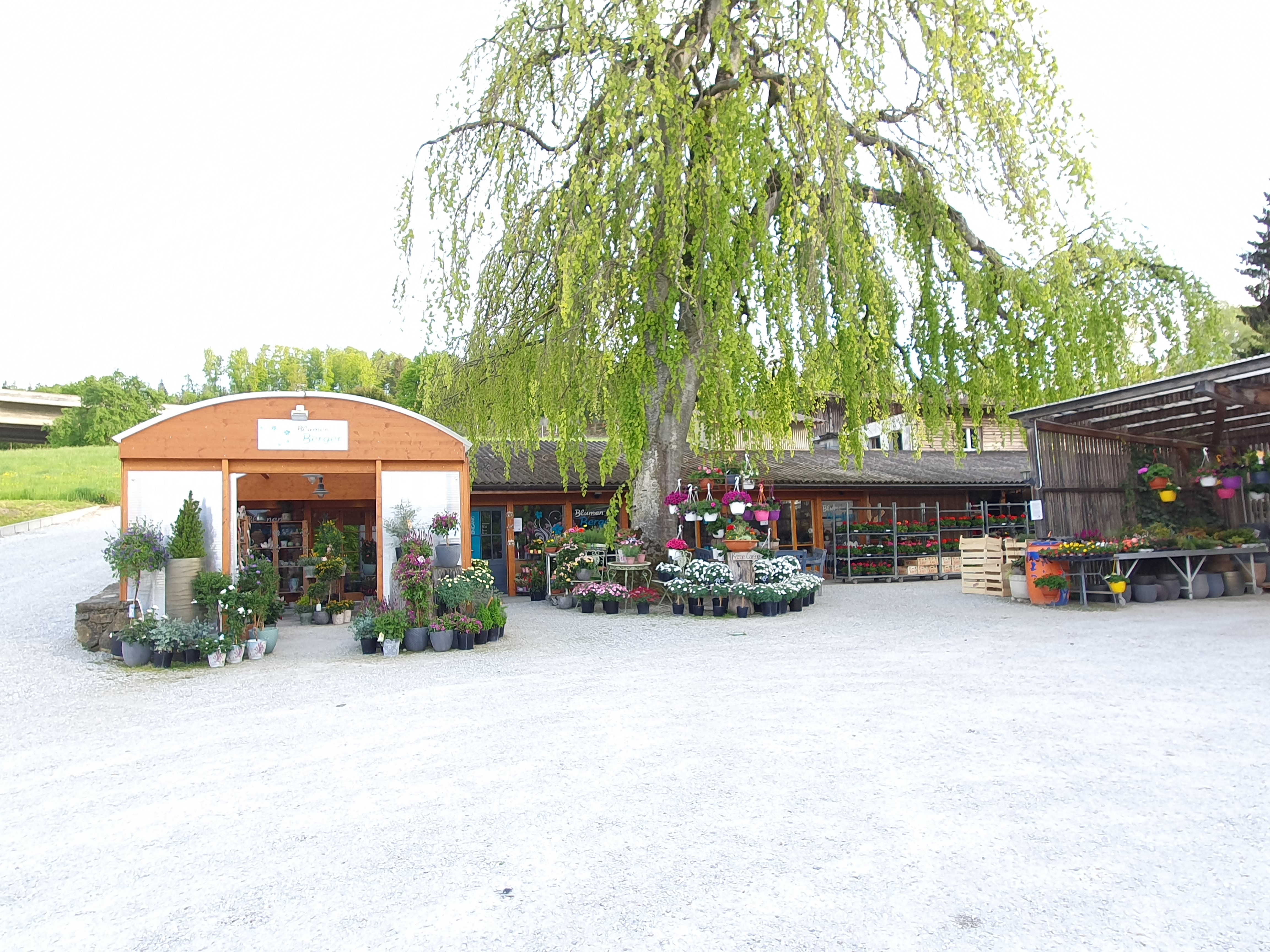 Blumen Berger