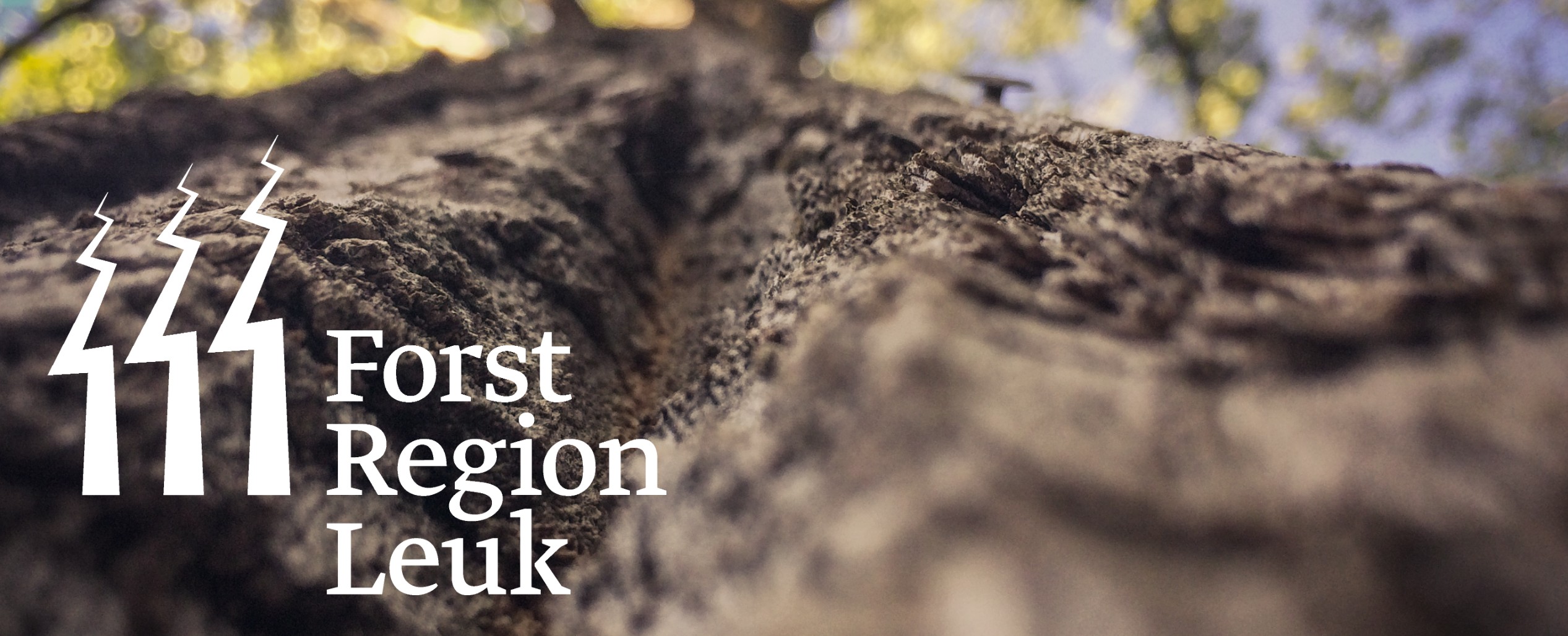 Forst Region Leuk