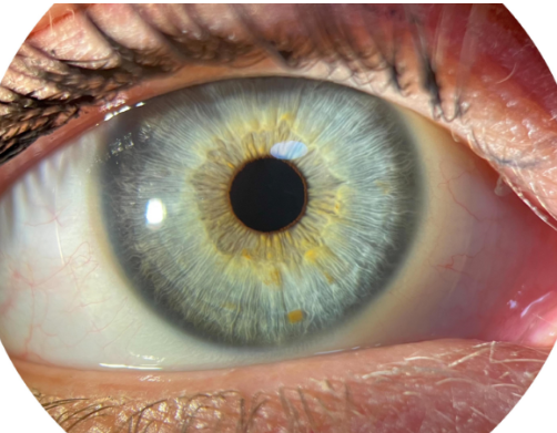 Atelier de l'Optique – click to enlarge the panorama picture