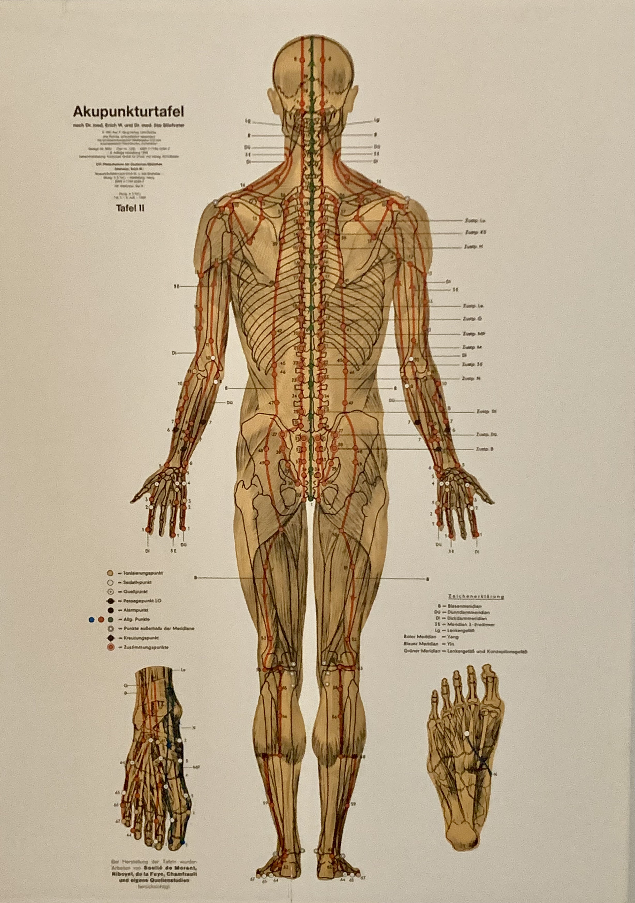 Praxis für Akupressur, Tuina TCM-Logo