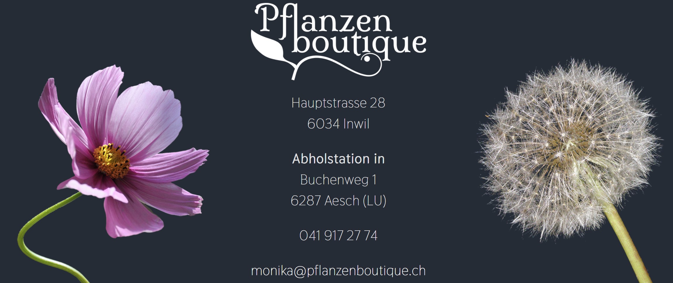 Pflanzenboutique Monika Herzog - Klicken, um das Panorama Bild vergrössert darzustellen