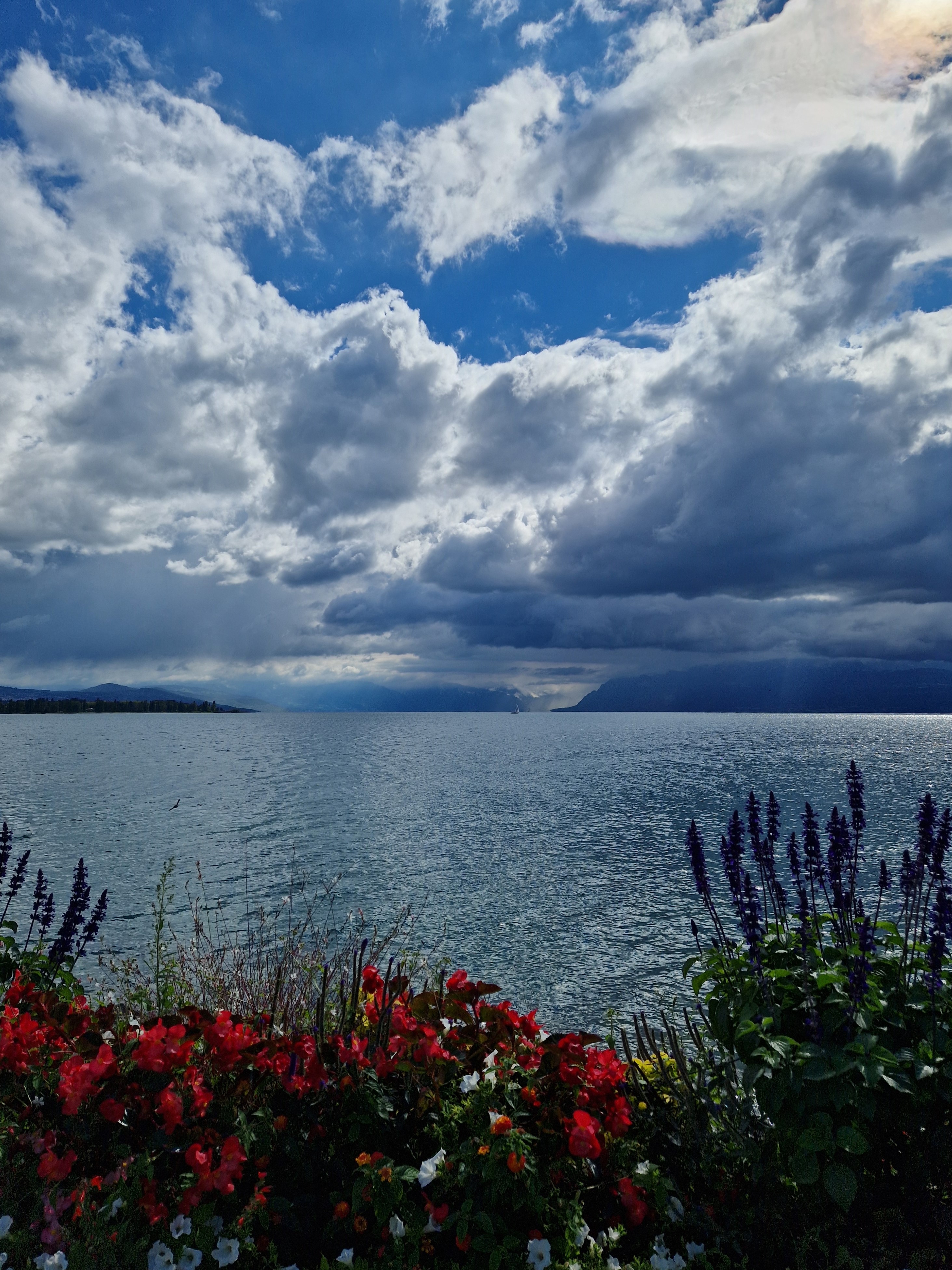 De Nouvelles Ressources