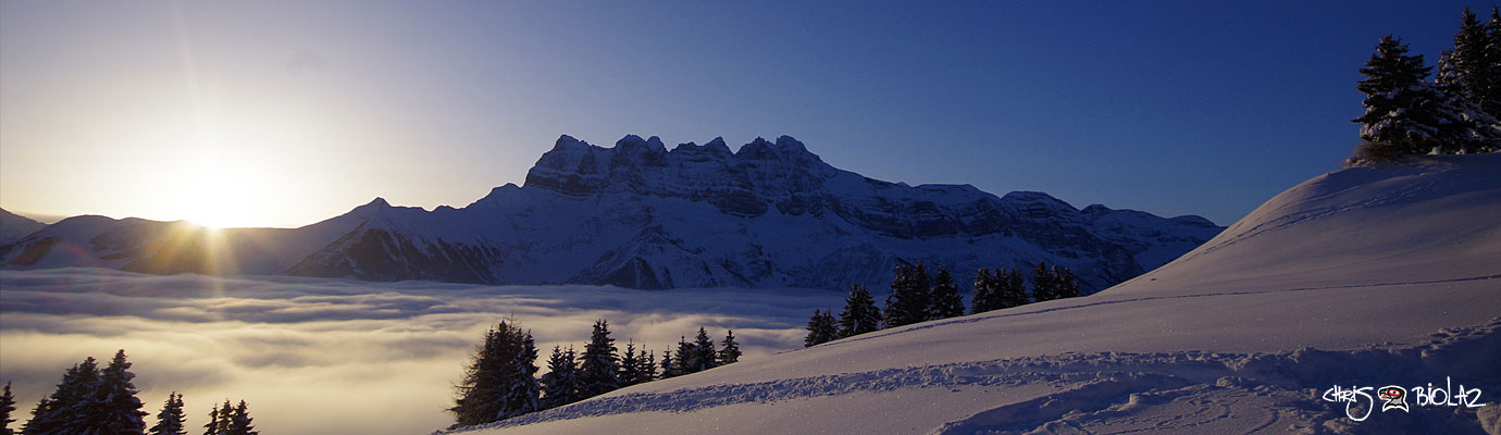 Design & Copy Services – cliquer pour agrandir l’image panoramique