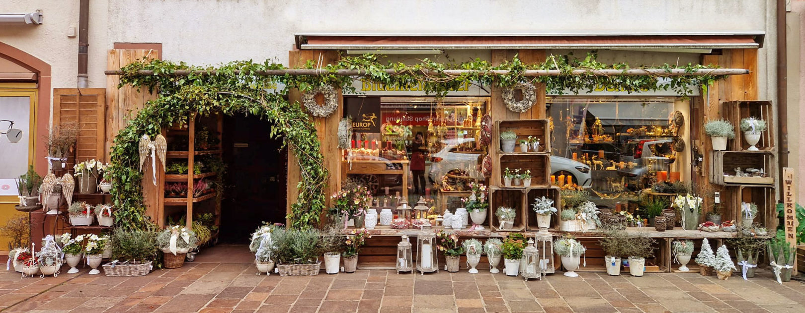 Bluemefenster Denise