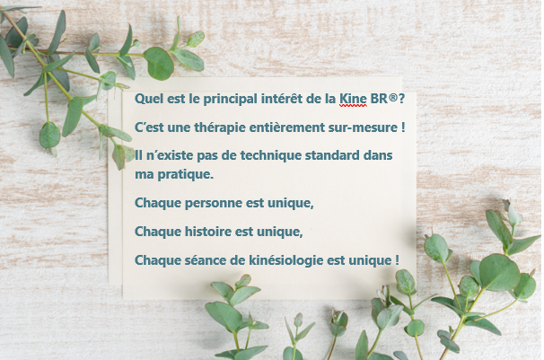 Kinésiovie I kinésiologie I Vevey – click to enlarge the panorama picture