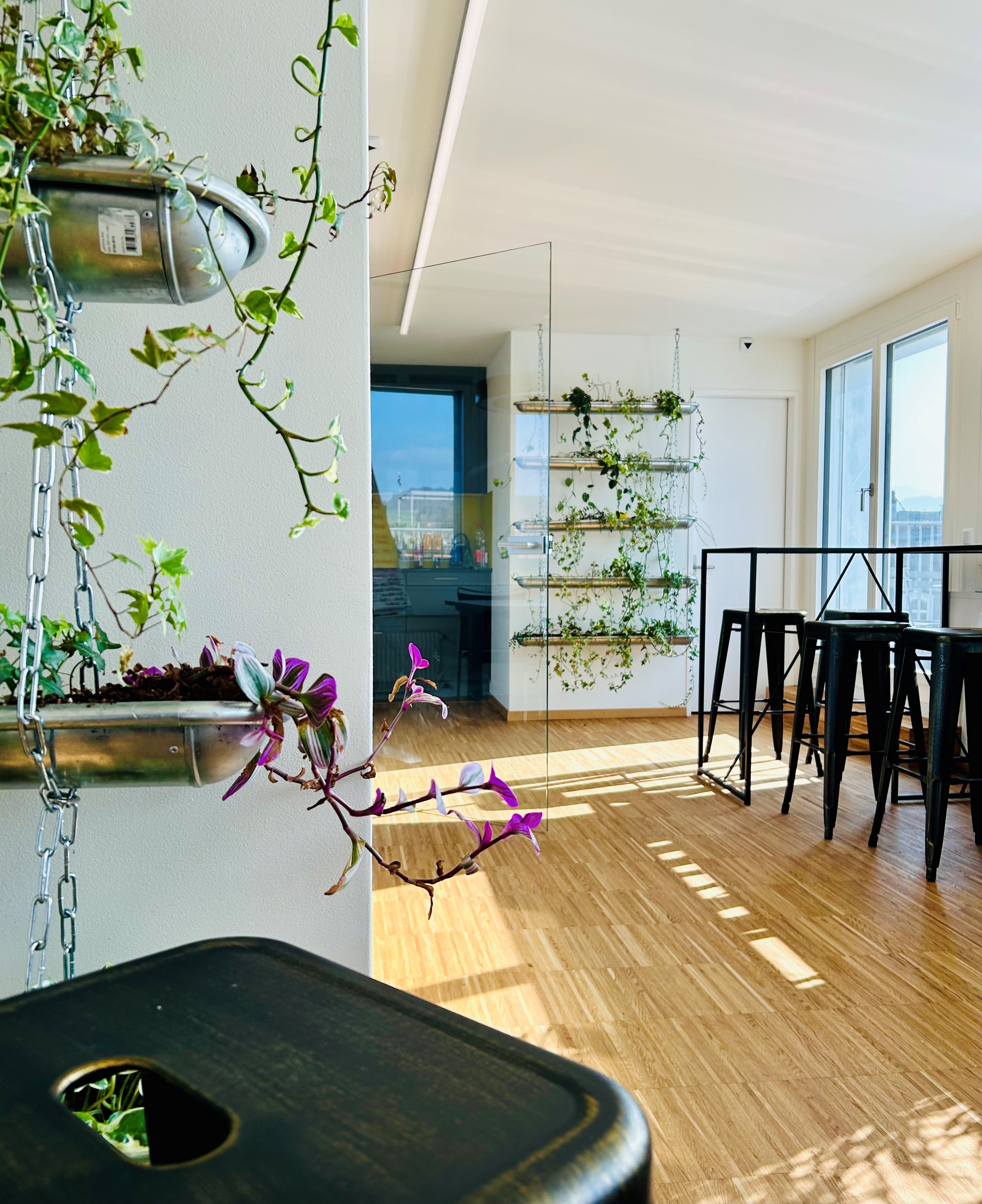 KNOWLEDGE LODGE GmbH