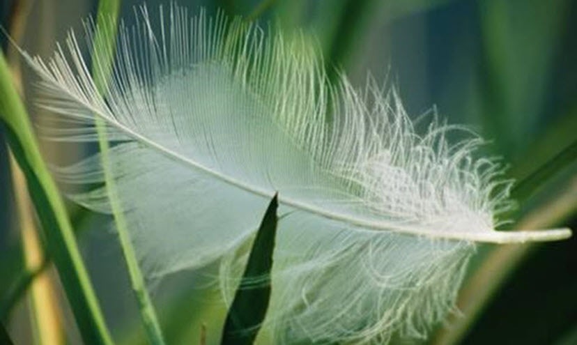 Christiane Devenoges - Kinésiologue