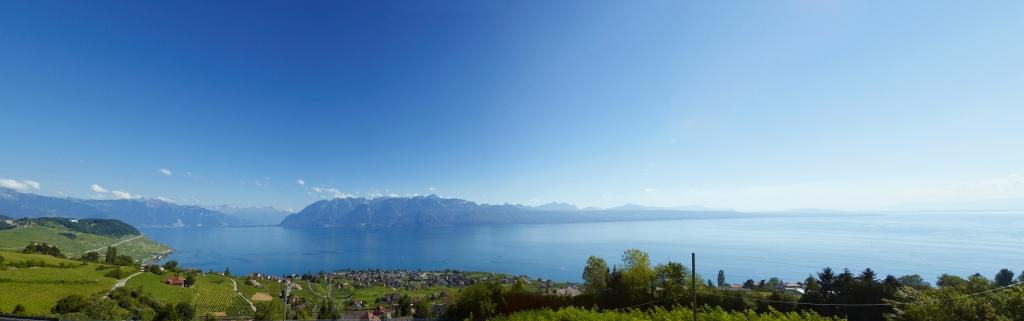 Union Vinicole de Cully - Espace de location Vinilingus – click to enlarge the panorama picture