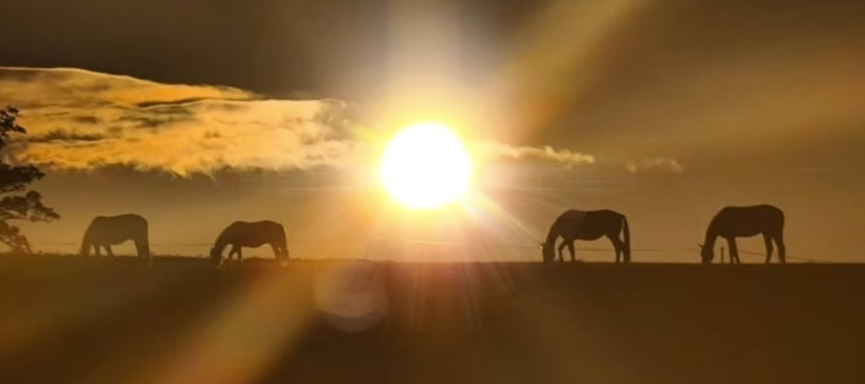 Equi Pi