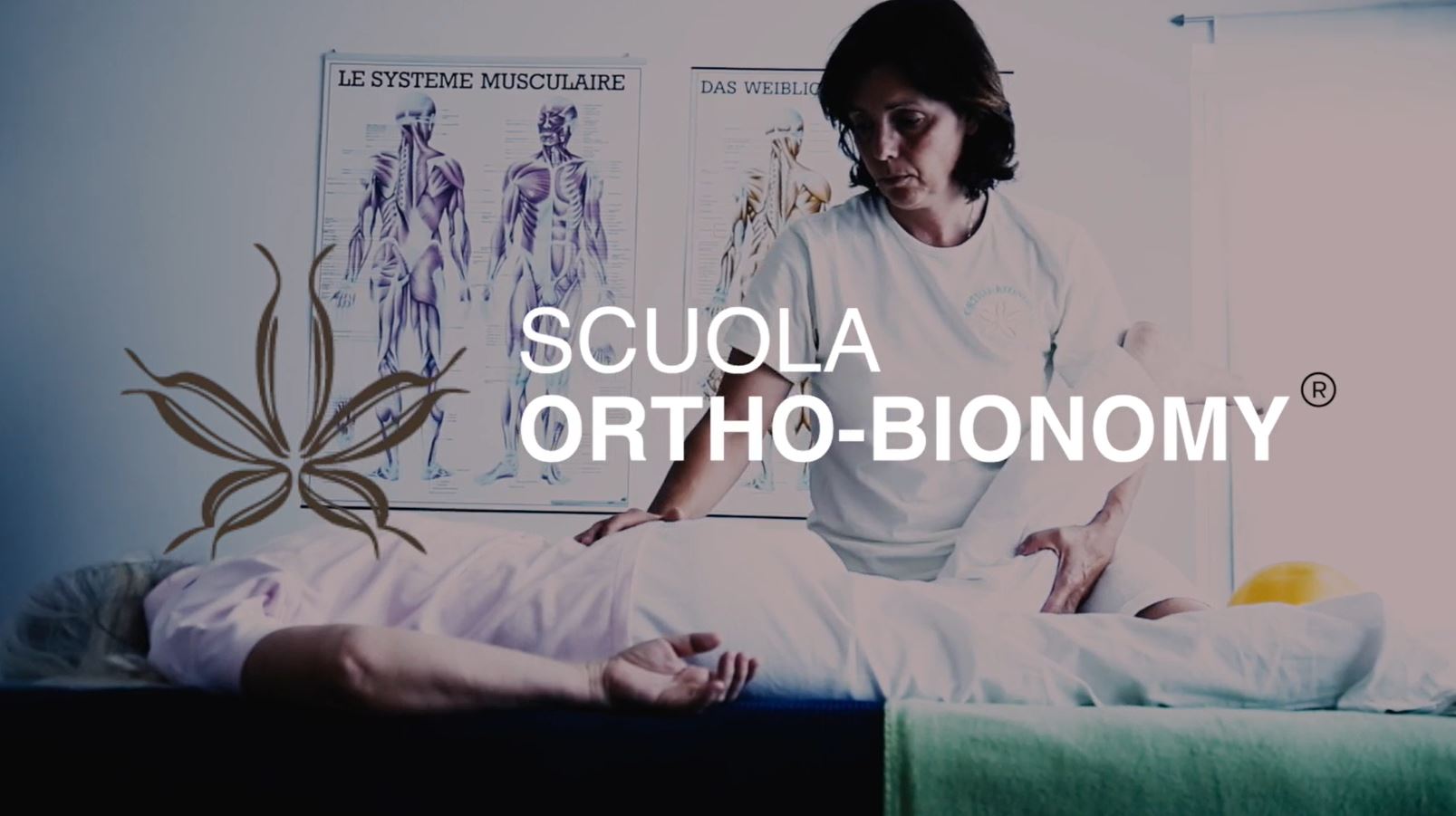 Ortho-Bionomy® Centro di Cure e Formazione di Margherita Brugger
