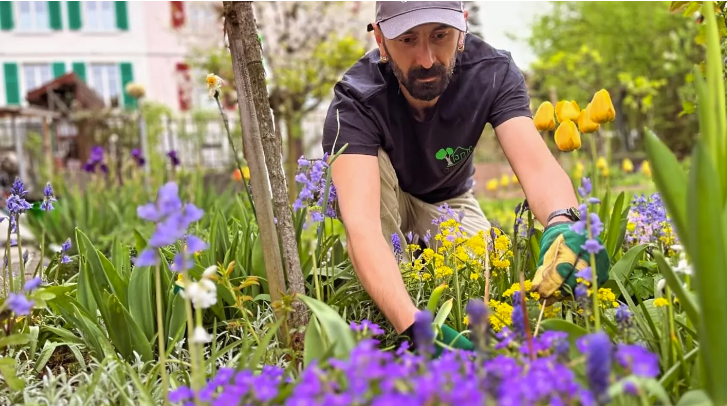 Grünecke Gartenunterhalt und Reinigungsservice GmbH