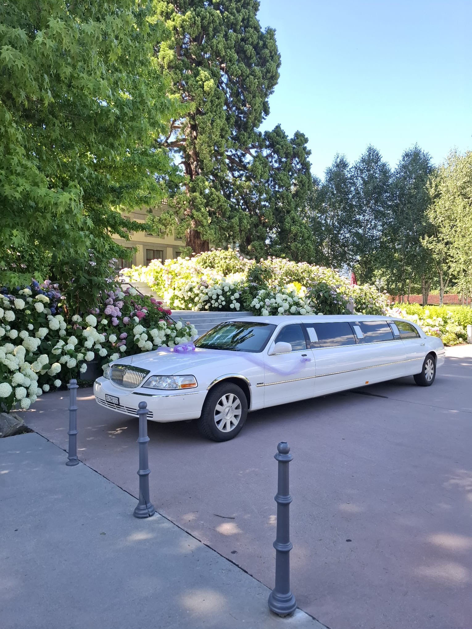 www.12taxi.ch Sommer