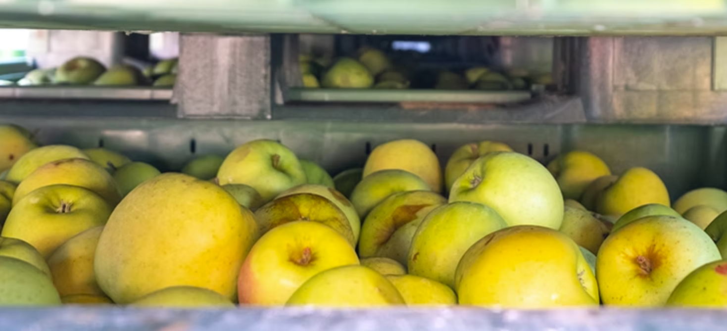 Mosterei HURNI + SOHN