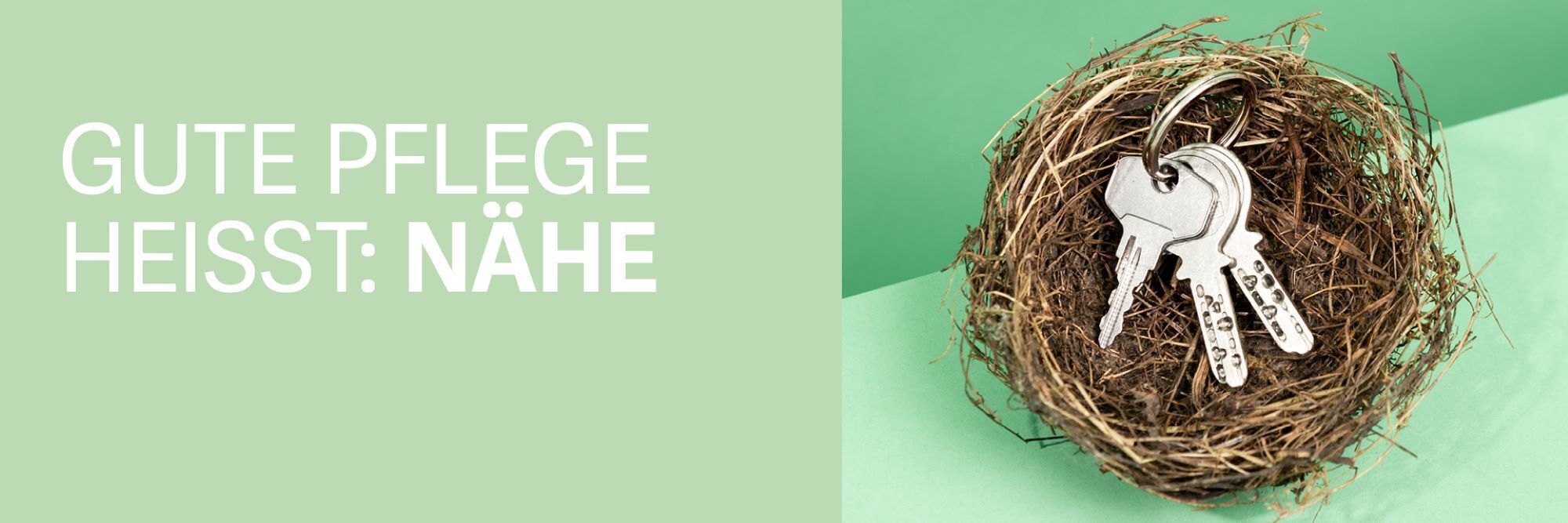 SPITEX Thierstein/Dorneckberg