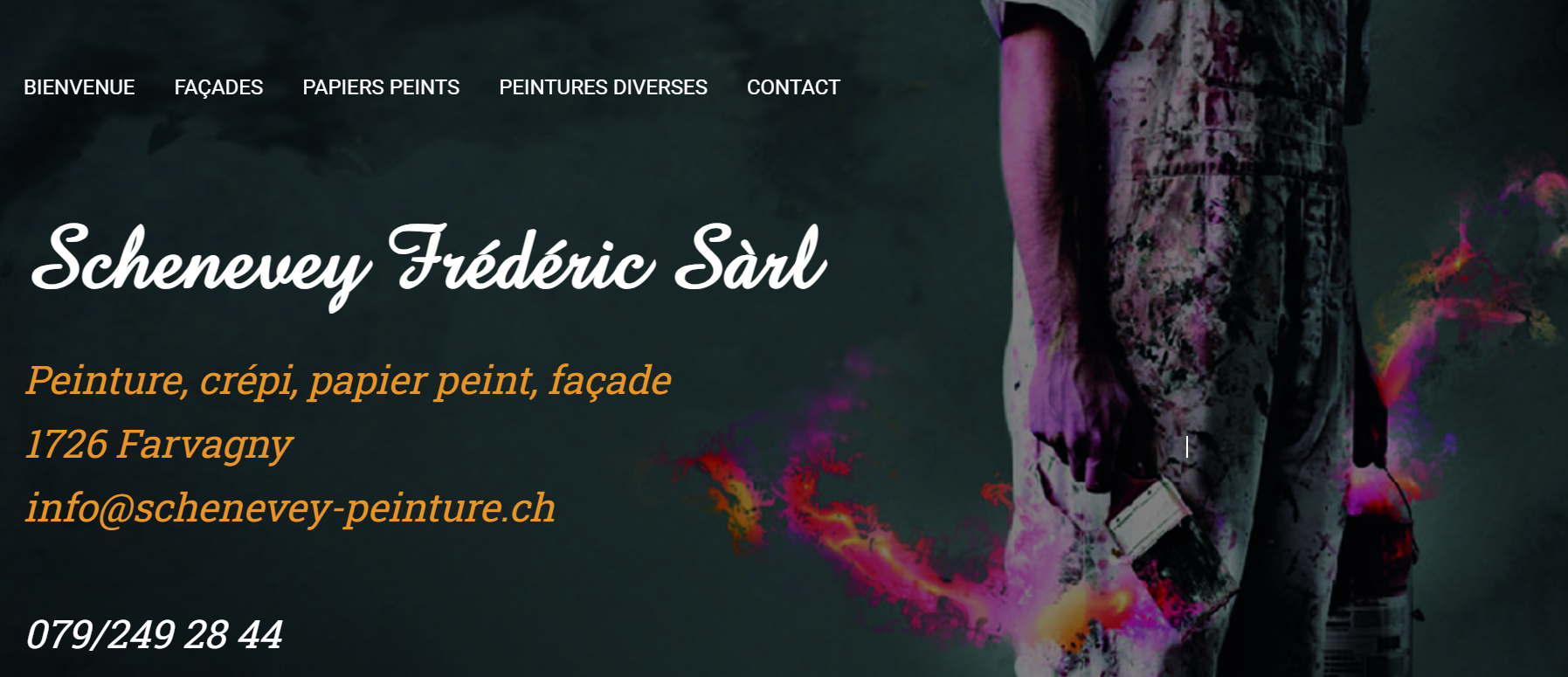 Frédéric Schenevey Sàrl