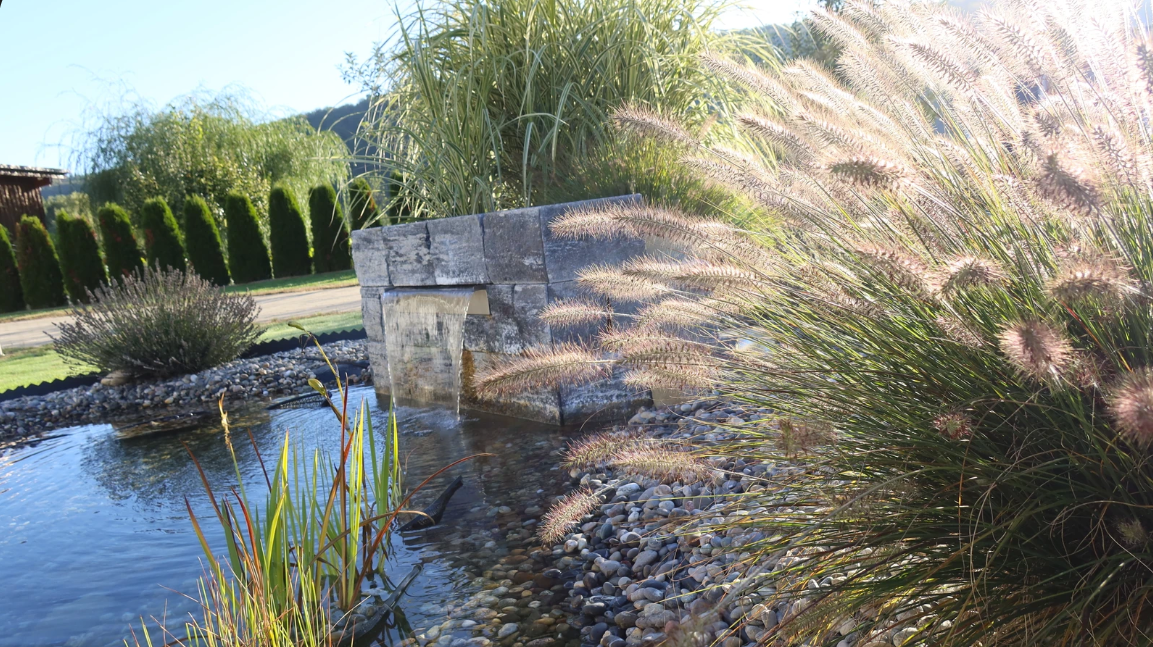 Fabrice Rondez Sàrl