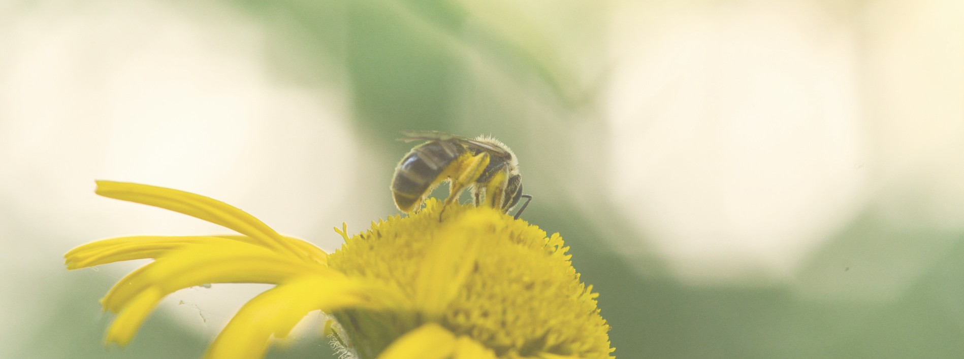 Vita Naturgarten GmbH