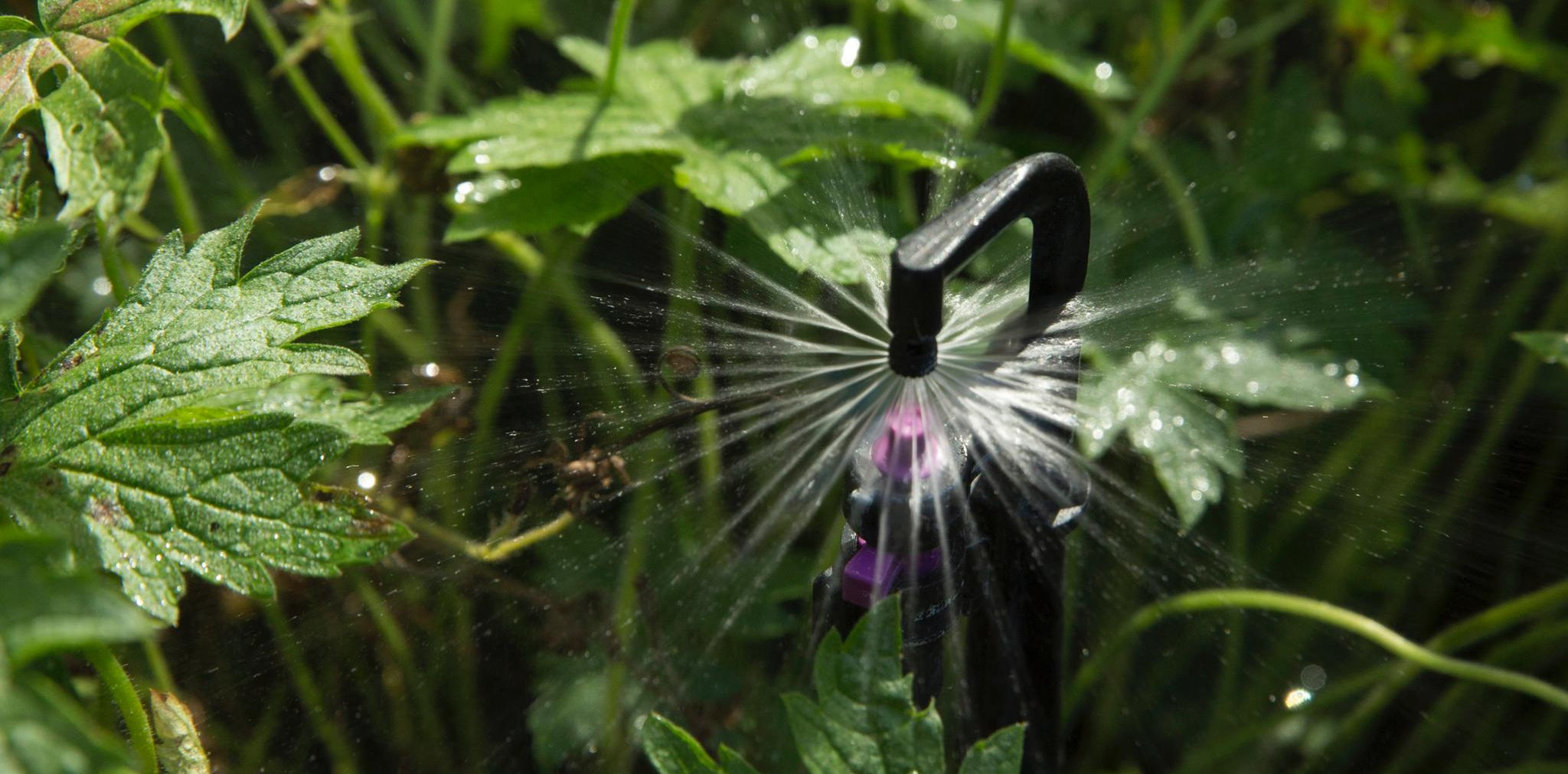 Brombacher Bewässerungstechnik GmbH