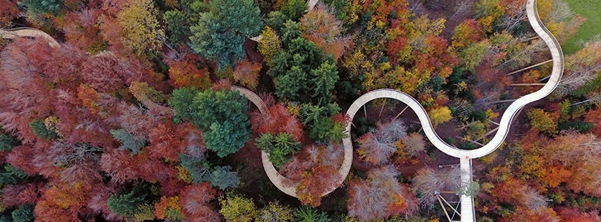 Genossenschaft Baumwipfelpfad Neckertal