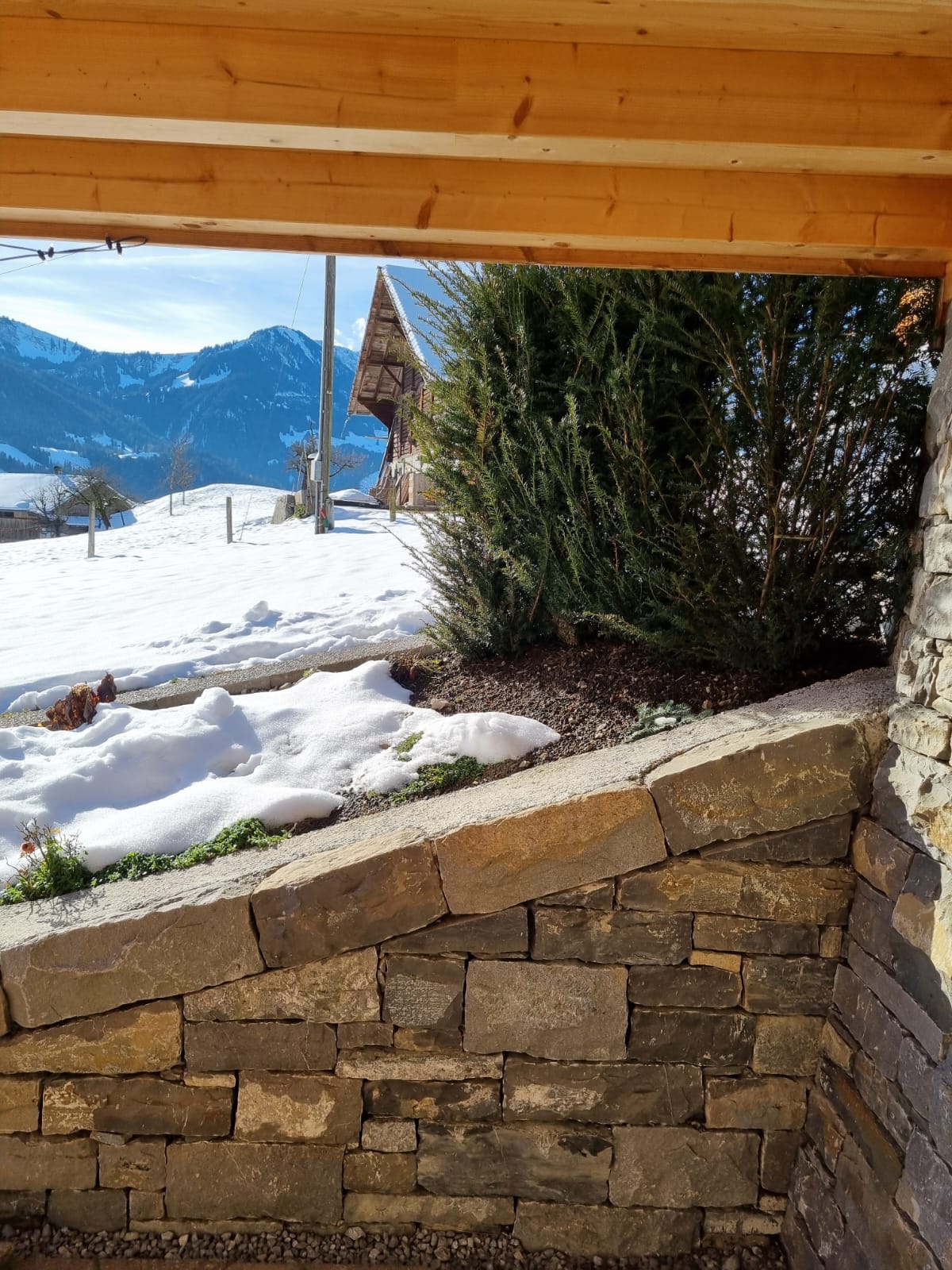 Dubach Gartenbau und -pflege GmbH