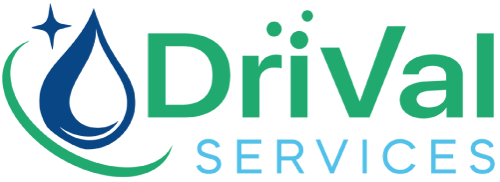 DriVal Services GmbH logo