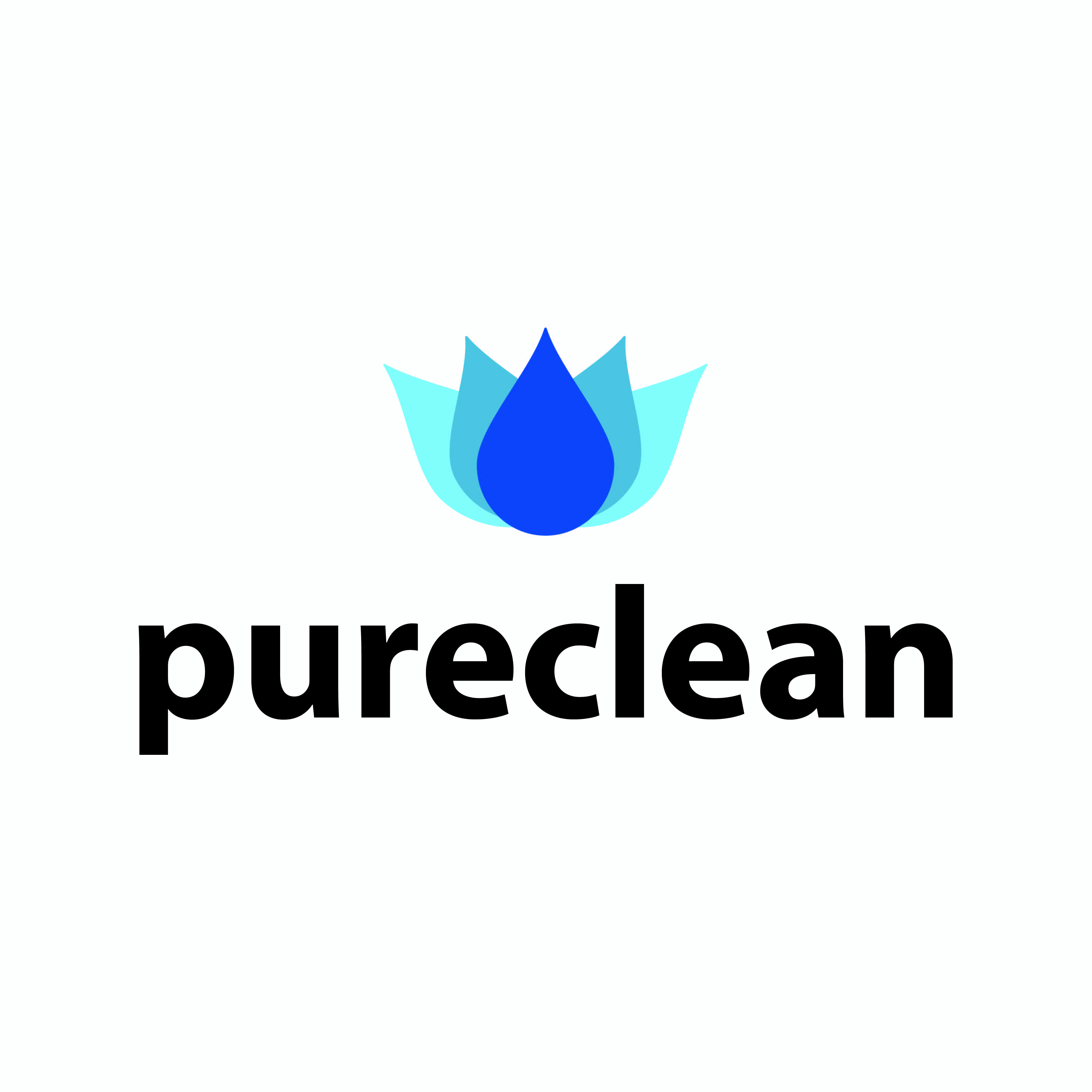 PureClean Delgado Ponce logo