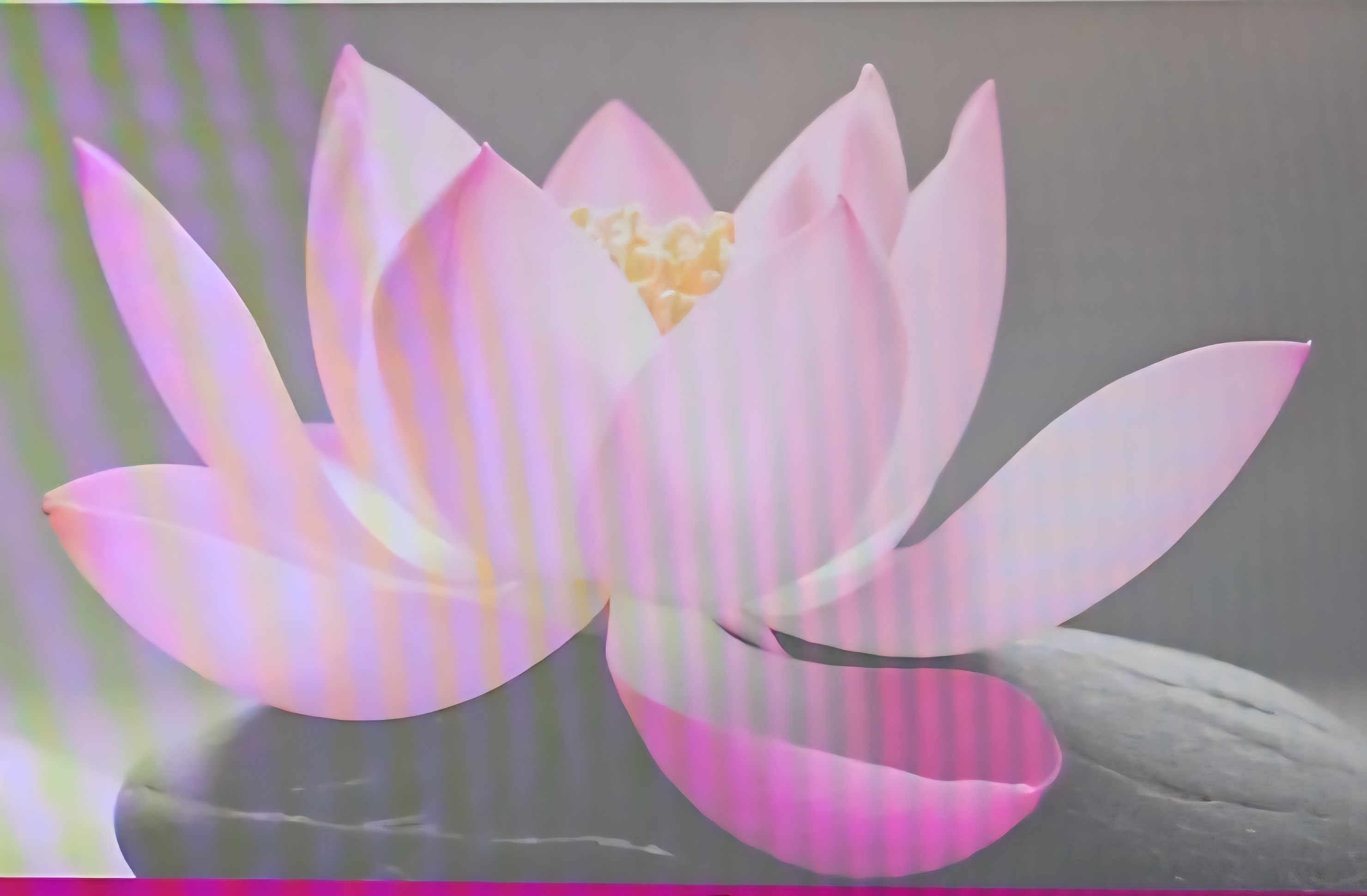 Massage Madlene Friedli-Logo