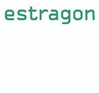 estragon gmbh-Logo