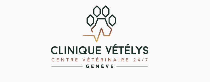 Laeubli Denise-Logo