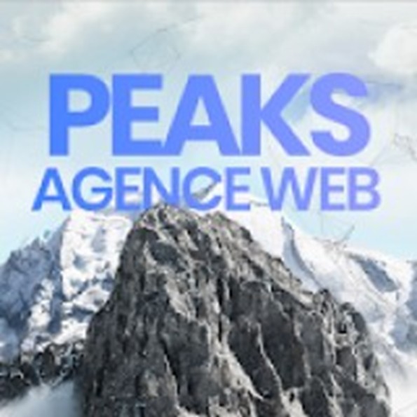 Logo Peaks - Agence Web Neuchâtel