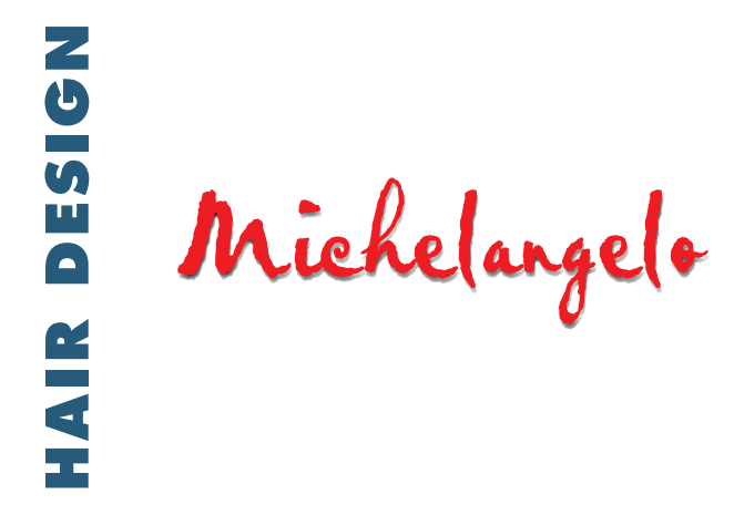 Logo Michelangelo