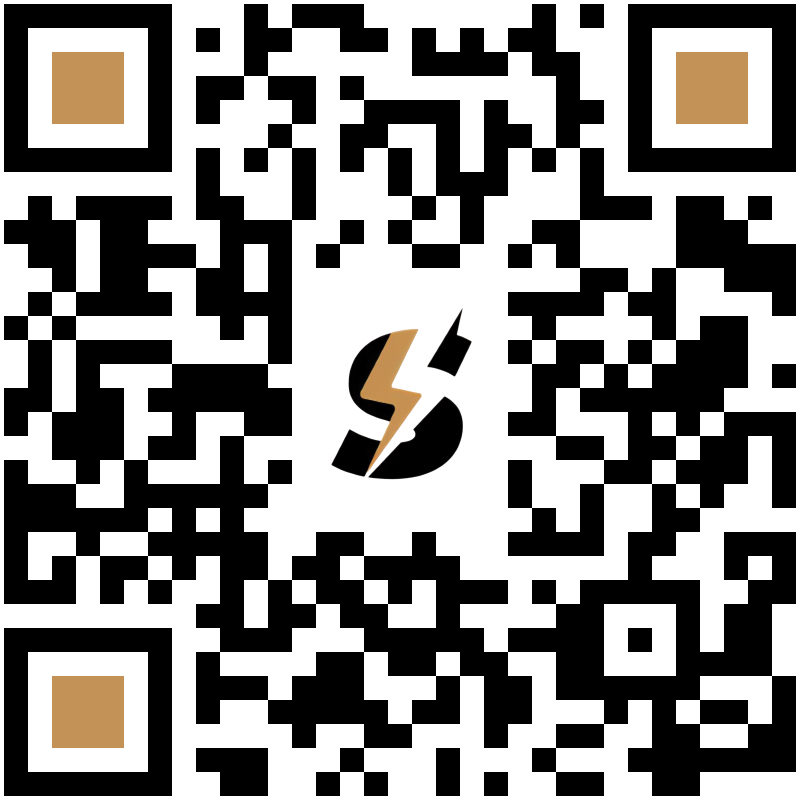 Systemsprenger Roger Zbinden logo