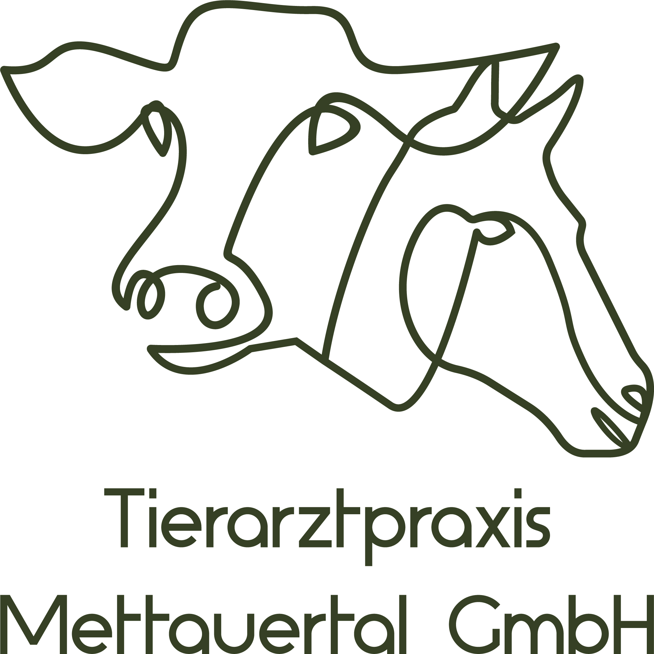 Tierarztpraxis Mettauertal logo