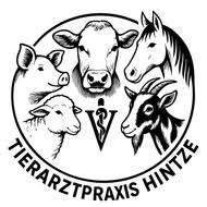 Tierarztpraxis Hintze GmbH / Fachtierarztpraxis für Schweine-Logo