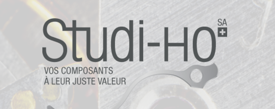 Studi-Ho SA-Logo