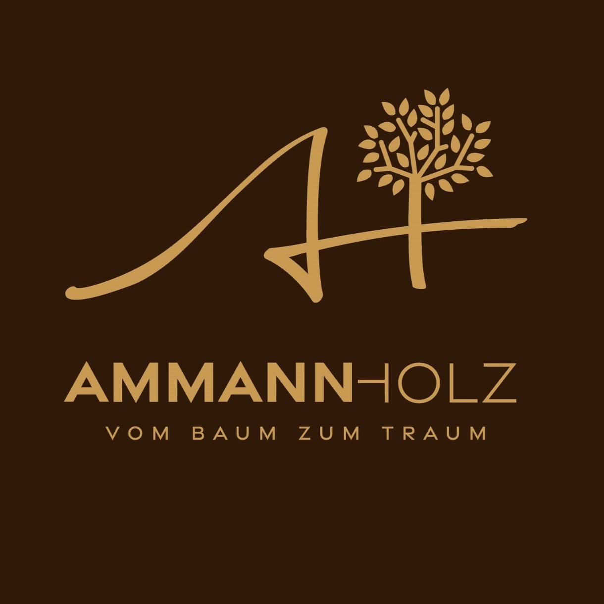 Logo Ammann Holz GmbH