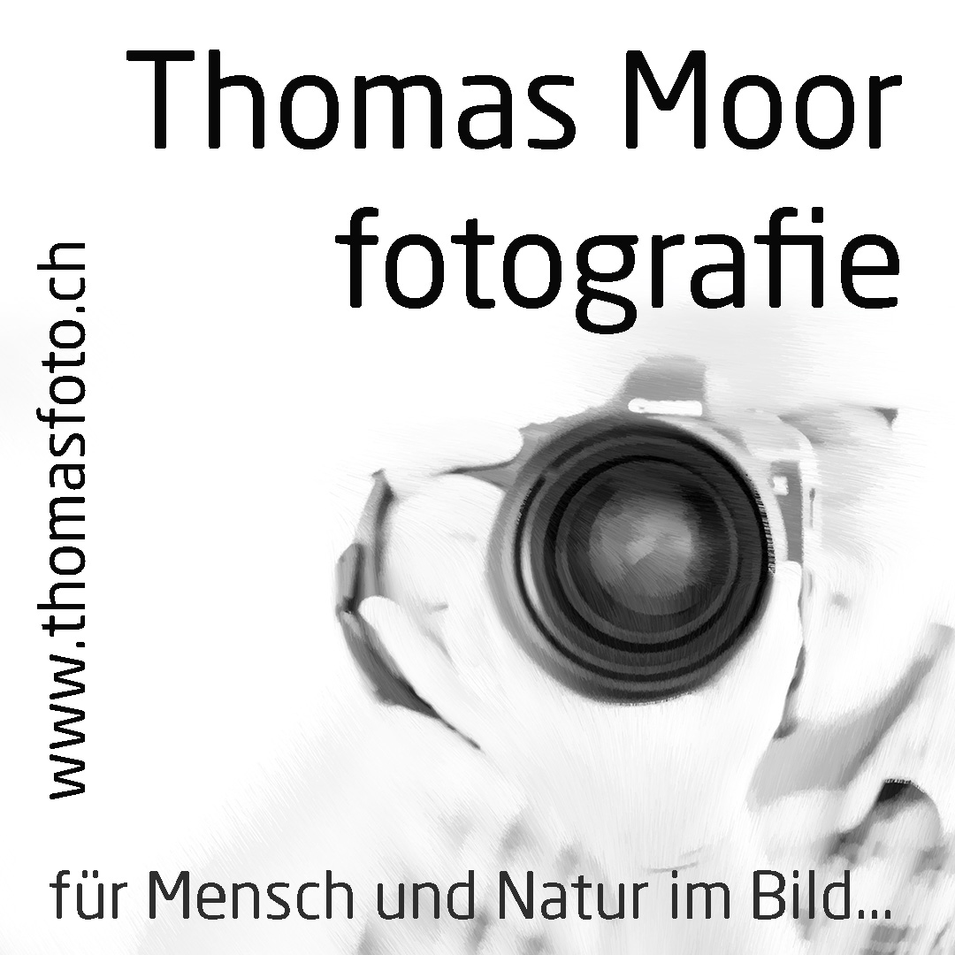 Thomas Moor Fotografie logo