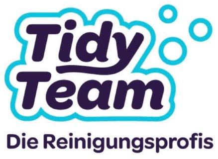 Tidy Team GmbH-Logo