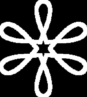 La Stel Cosmetics-Logo