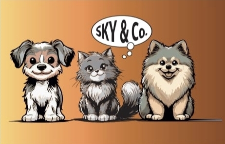 Sky&Co logo