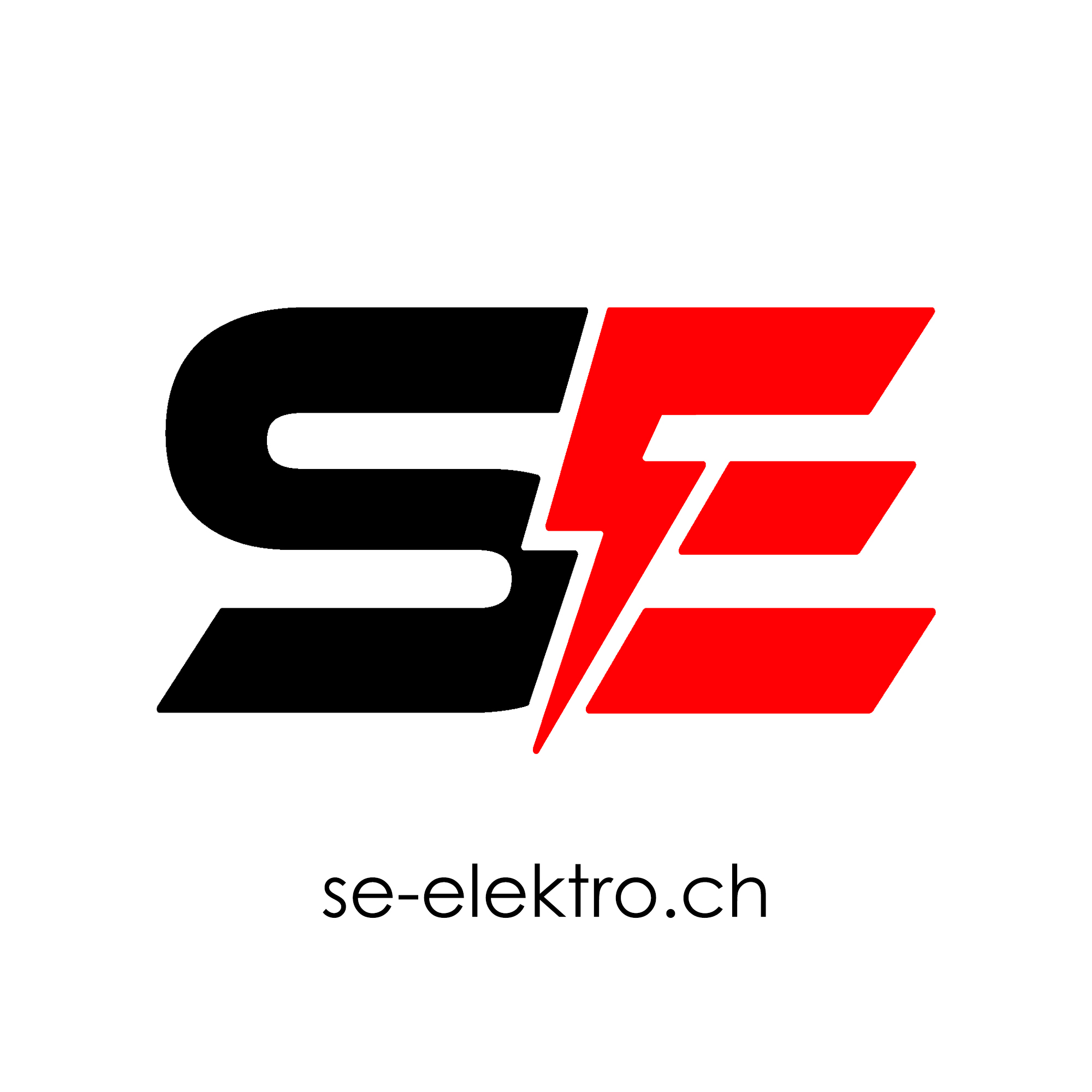SE-Elektro Group GmbH logo