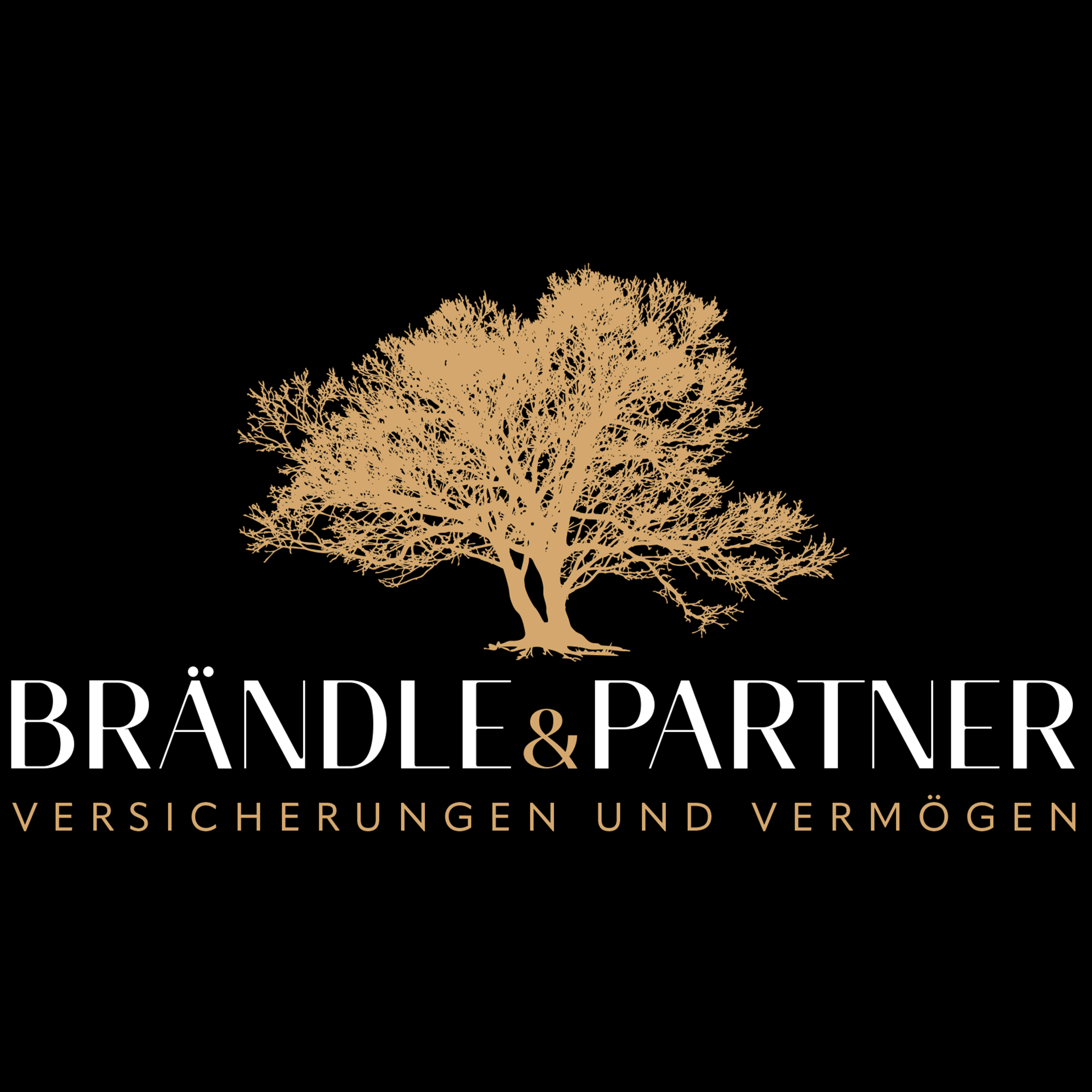 Brändle & Partner AG-Logo
