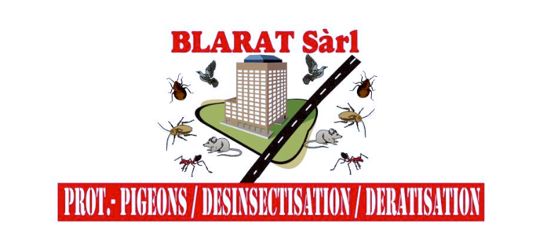 BLARAT Sarl-Logo