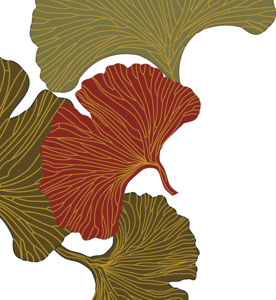 Praxis für traditionelle chinesische Medizin - Barbara Schatt-Logo